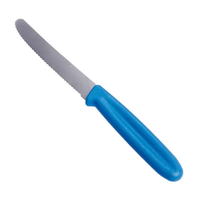 Immagine prodotto di Coltello da tavola GSD, manico blu, 1 pezzo