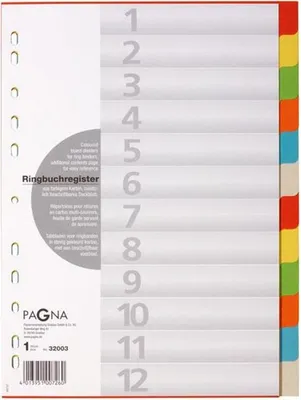 Produktbild von PAGNA Karton Register DIN A4 12-teilig 12 farbig