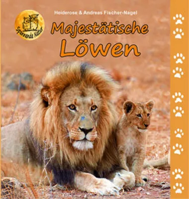 Produktbild von Majestätische Löwen