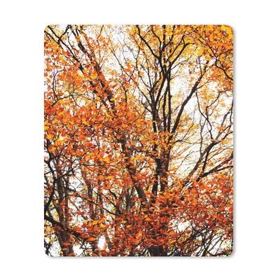 Produktbild von MuchoWow® Mauspad Mousepad Wald - Herbst - Jahreszeiten 30x40 cm - Mousepads - Maus Mat - Pad - Mausunterlage - Mausmatten