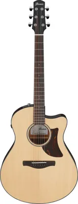 Produktbild von Ibanez AAM300CE-NT