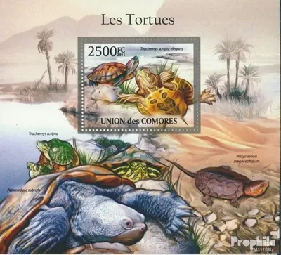 Produktbild von Briefmarken Komoren 2011 Mi Block 624 (kompl. Ausg.) postfrisch Schildkröten