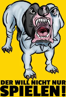 Produktbild von vianmo Holzschild 40x30 cm Der will nicht nur spielen Hund
