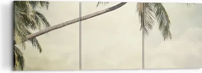 Produktbild von Bild auf Leinwand - Leinwandbild - 3 Teile - Palme Strand Insel - 120x40cm - Wand Bild - Wanddeko - Wandbilder - Leinwanddruck - Bilder - Wanddekoration - Leinwand bilder - Wandbild - CA120x40-4154