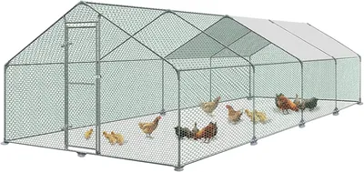 Obrázok produktu pre Vonkajší výbeh pre slepice – Kuriňa – 3 x 8 x 2 metre – Pozinkovaná oceľová konštrukcia a vodeodolná strecha z polyetylénu