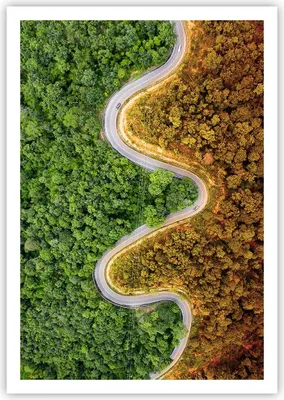 Produktbild von Poster - Poster ohne Rahmen - Luftaufnahmen Weg Wald - 70x100 cm - Wand Bild - Wanddeko - Wandbilder - Kunstposter - Wandposter - Bilder - Kunstdruck - Wanddekoration - Wandbild - P2XPA70x100-4659