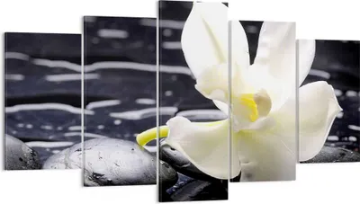 Produktbild von Bild auf Leinwand - Leinwandbild - Spa Orchidee Steine Wasser - 160x85cm - Wand Bild - Wanddeko - Leinwanddruck - Bilder - Kunstdruck - Wanddekoration - Leinwand bilder - Wandkunst - EA160x85-0444