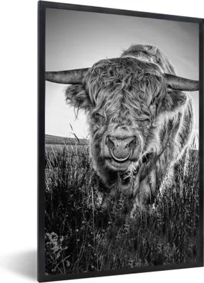 Produktbild von MuchoWow® Gerahmtes Poster Schottischer Highlander - Schwarz und Weiß 60x90 cm - Poster mit Schwarzem Bilderrahmen Wandposter Rahmen Foto Bilder - Kunst