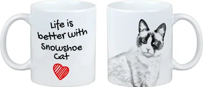 Immagine prodotto di Art-Dog Tazza in Vetroceramica – Gatto Snowshoe
