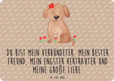 Produktbild von Mr. & Mrs. Panda Retro Blechschild Hund Dame DIN A6 - Hundeglück - Geschenk, Wandbild, tafel, Hundeliebe, Hunde, Türschild, Lieb, Sprüche, Schild, Liebe, Liebenswert