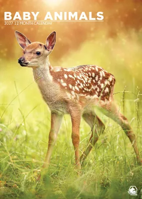 A3 Wandkalender 2027 – Baby Tiere – Monatsansicht