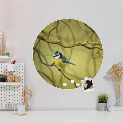 Produktbild von Design Stahlmagnettafel Weiß Rund 47cm Blaumeise im Baum