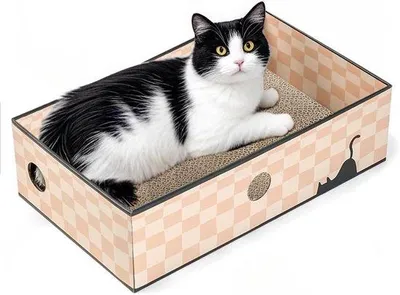 Image de Griffoir double face avec carton pour chats, interactif, grand format