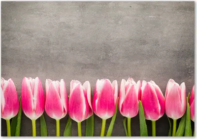 Produktbild von Tulup® Glas-Bild - 100 x 70 - Wandbild aus Glas - Wandkunst - Wandbild hinter gehärtetem Sicherheitsglas - Blumen & Pflanzen - Rosa Tulpen - Rosa