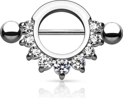 Produktbild von viva-adorno Brustwarzenpiercing Brustpiercing Nippel Piercing Schild 316L Chirurgenstahl Barbell Kristall Z502, silber