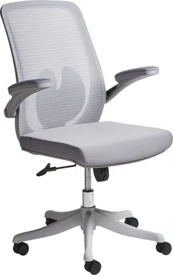 Produktbild von BELIANI Bürostuhl Grau Mesh Höhenverstellbar Drehbar mit Hochklappbaren Armlehnen Modernes Design Drehstuhl für Heimbüro Arbeitszimmer