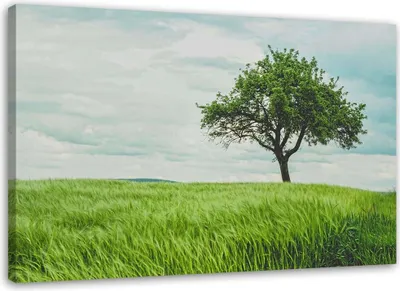 Produktbild von Leinwandbild baum auf einem feld 90x60 cm Feeby grün wandbild bereit zum aufhängen