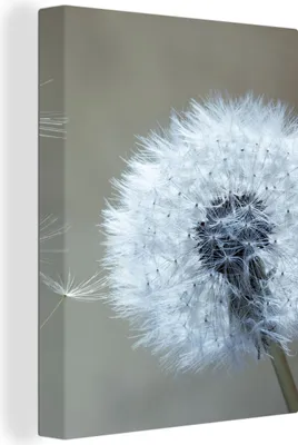 Produktbild von MuchoWow® - Leinwandbilder - Löwenzahn - Blume - Pflanze, Wandbild, Wanddeko Bilder Wohnzimmer, 30x40 cm