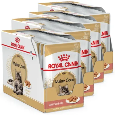 Produktbild von Royal Canin FBN Maine Coon Adult 48x85g Nassfutter in Soße für ausgewachsene Maine Coon Katzen