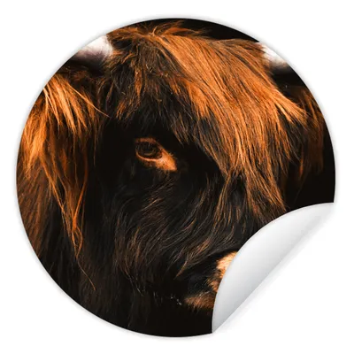 Produktbild von MuchoWow® Runde Wandtattoo - Wandsticker Tapete Aufkleber Schottischer Highlander - Schwarz - Kuh - Horn - Tiere Ø 30 cm Selbstklebend und Repositionierbar - Wandaufkleber - Kreis - Wandbild - Fototapete - Selbstklebend - Dekoration - Wandschmuck - Schlafzimmer