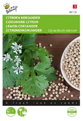 Zdjęcie produktu dla Kolendra wielkoziarenna o smaku cytrynowym | Nasiona kolendry od Buzzy Seeds
