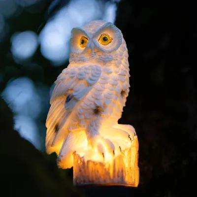 Produktbild von LUMILED Solar Eule Gartenleuchte 42 cm, weiße Eule Gartenstecker Rasenlampe, 3000K IP44 Gartendeko, Dekorative Wasserdichte Solarleuchte Außen, Deko Solarlampe für Blumentopf, Rasen, Garten, Hof, Balkon, Wege