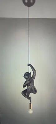 Produktbild von Trio - Hängelampe FIPS - Schwarz - 0x0x150 cm