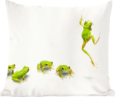 Produktbild von MuchoWow® Zierkissen Sofakissen Wohnzimmer Dekokissen 40x40 cm Frosch - Tiere - Grün - Foto Kissen - Schlafzimmer Dekoration