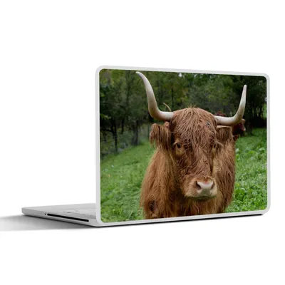 Produktbild von MuchoWow® Laptop Aufkleber Sticker Cover Schottische Highlander - Tiere - Gras 30x21 cm - Sticker für Laptop - Selbstklebend