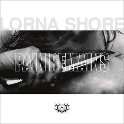 Produktbild von Pain Remains