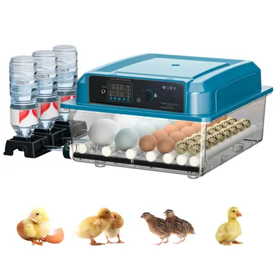 Image de Couveuse entièrement automatique, incubateur de 36 œufs avec retournement automatique et régulation de la température pour poulets, canards et pigeons, bleu