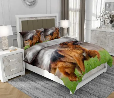 Produktbild von Bettwäsche 200x220 cm + 2x70x80 cm, 3-teilig, 100% Baumwolle, Satin, Reißverschluss, Bunt - SOVIO | So.Z0038