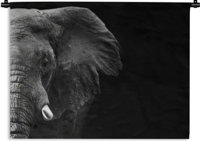 Produktbild von MuchoWow® Wandteppich Wandbehang Tiere - Elefant - Wild - Schwarz - Weiß 60x45 cm Tapisserie Dekoration Wandtuch - Das Schlafzimmer