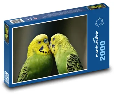 Produktbild von martinpuzzle - Puzzle 2000 Teile - Ein Wellensittichpaar