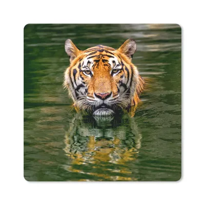 Produktbild von MuchoWow® Mauspad Mousepad Tiger im Wasser 20x20 cm - Mousepads - Maus Mat - Pad - Mausunterlage - Desk Mat - Bureauartikeln