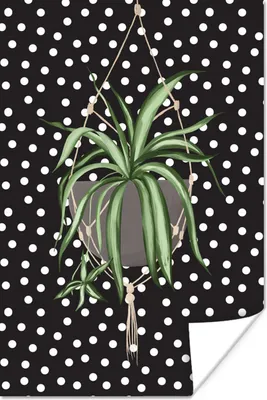Produktbild von MuchoWow® Poster Pflanze - Hängender Blumentopf - Dots 20x30 cm - Papierdruck