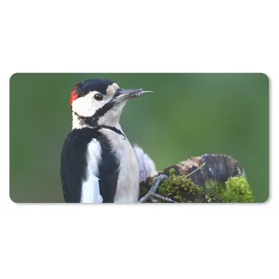 Produktbild von MuchoWow® Mauspad Mousepad Ein Buntspecht mit klaren Farben 60x30 cm - Mousepads - Maus Mat - Pad - Mausunterlage - Nachhaltig