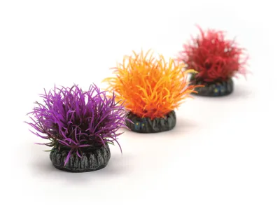 Obrázek produktu pro biOrb Aquatic color ball set 3