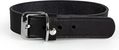 Produktbild von Das Lederband Halsband Weinheim