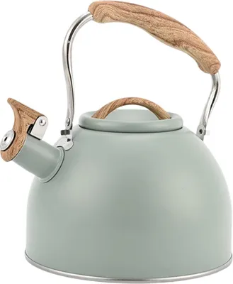 Obrázek produktu pro Pískací konvice 3 l, světle zelená, ploché dno, nerezová ocel, rukojeť z technického plastu, konvice na čaj pro domácnost