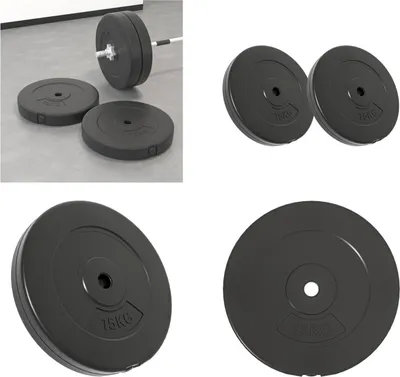 Image de vidaXL Disques d'haltères 2 pcs. 30 kg ciment - Disque d'haltères - Disque de poids - Disque d'haltères longs