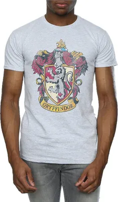 Produktbild von Harry Potter - T-Shirt für Herren BI1443 (3XL) (Grau)