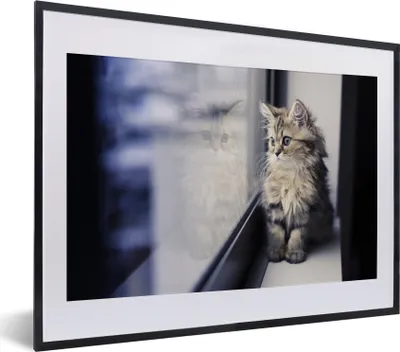 Produktbild von MuchoWow® MuchoWow® Gerahmtes Poster Ein persisches Kätzchen schaut aus dem Fenster 40x30 cm - Poster mit zchwarzem Bilderrahmen - Bilderrahmen - Poster im Rahmen