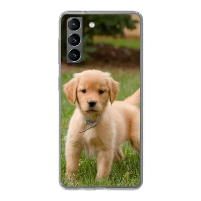 Produktbild von MuchoWow® Handyhülle Schutzhülle Hülle für Samsung Galaxy S21 Golden Retriever Welpe im grünen Gras Silikon Softcase Handy Hülle - Softcase