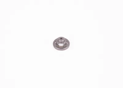 Image de Kraftstoffpumpenelement BOSCH 2 447 419 002