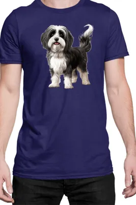 Immagine prodotto di Maglietta da uomo Dogs Breeds Havanese Dog Breed 006, Man M , Bleu foncé