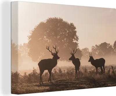 Produktbild von OneMillionCanvasses® - Leinwandbilder - 140x90 cm, Hirsche - Nebel - Wald, Wandbilder Kunstdruck Wanddekoration