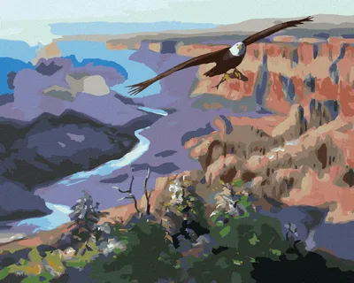 Produktbild von Zuty - Malen nach Zahlen - ADLER UND FISCH (D. RUSTY RUST), 40x50 cm, ohne Keilrahmen