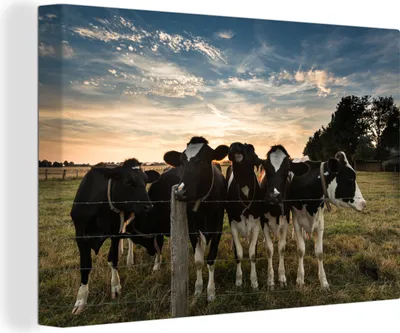 Produktbild von OneMillionCanvasses® - Leinwandbilder - 150x100 cm, Kühe - Tiere - Bauernhof, Wandbilder Kunstdruck Wanddekoration - Foto auf Leinwand - Gemälde auf Holzrahmen