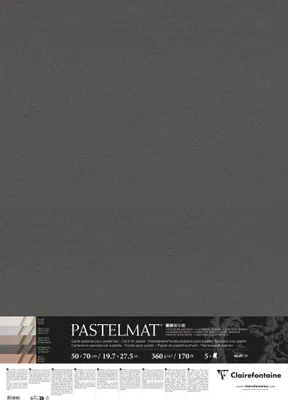 Produktbild von Clairefontaine Pastelmat 50x70 5Bl 360g 5F sort - 96051C